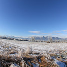 IMG_6426.jpg