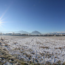 IMG_6440.jpg