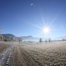 IMG_6557.jpg
