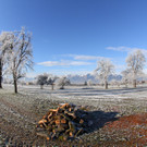 IMG_6592.jpg