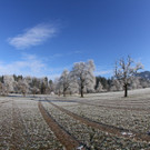 IMG_6648.jpg