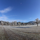 IMG_6650.jpg