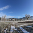 IMG_6662.jpg