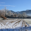 IMG_6732.jpg