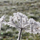 IMG_6758.jpg