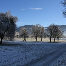 IMG_6923.jpg