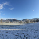 IMG_6953.jpg