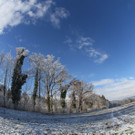 IMG_6965.jpg