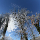 IMG_6975.jpg