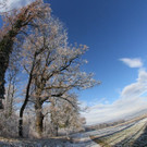 IMG_6980.jpg