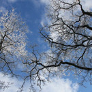 IMG_7060.jpg