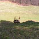 PICT0213.JPG