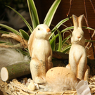 Osterschmuck und Frühlingsboten