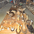 19_12_2013 - LKA Troph__enschau 2 - LKA.jpg