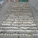 19_12_2013 LKA - Sammlung Troph__en 1- Gro__priel.jpg