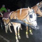 Bauern11Kutsche.jpg