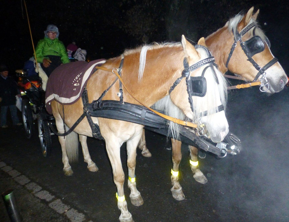 Bauern11Kutsche.jpg