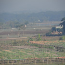 Bangladesch2013_Sabine Unterweger_Feld.JPG
