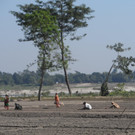 Bangladesch2013_Sabine Unterweger_Feldarbeit.JPG