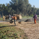 Bangladesch2013_Sabine Unterweger_Feldarbeit1.JPG
