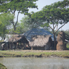 Bangladesch2013_Sabine Unterweger_Land.JPG