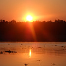 Bangladesch2013_Sabine Unterweger_Sundarbans1.JPG