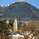 DSC06517.jpg