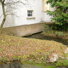 Dorfbachprojekt Hard 20-12-2013 38.jpg