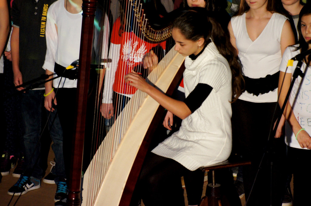 09 Aylin spielt die Harfe.JPG