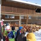 DSC05667_JPG-1269895295