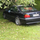 dc1-5q5xtdi3pjrrko0q8v8_original.jpg