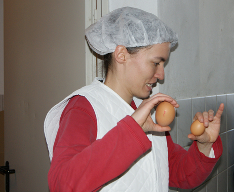 DSC05727_JPG-1269895841