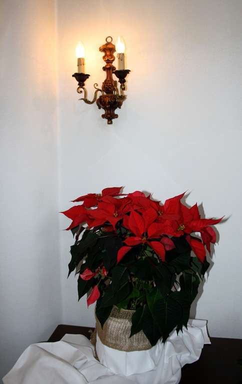 Schloss Hofener Advent 22-12-2013 _21_.jpg