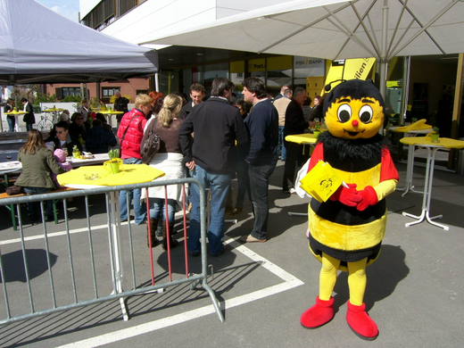 sm_gisingen_raiba07_JPG-1269929480
