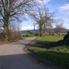 Föhnsturm: Baum fällt auf Zufahrtsstraße zum Rohrspitz