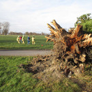 gr-_5_450.jpg