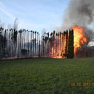 Heckenbrand in Höchst