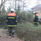 Sturm-Einsätze für die Feuerwehr in NÖ