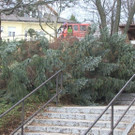 25122013_Hochegg _4_.jpg