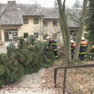 25122013_Hochegg _8_.jpg