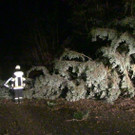 L137 Ri_ St_ Corona _1_.jpg