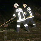 L137 Ri_ St_ Corona _3_.jpg