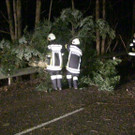 L137 Ri_ St_ Corona _6_.jpg