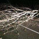 Z__bernerstr _1_.jpg