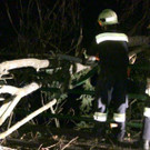 Z__bernerstr _2_.jpg