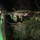 Z__bernerstr _3_.jpg