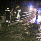 Z__bernerstr _4_.jpg