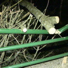 Z__bernerstr _5_.jpg