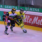 IMG_8119.jpg