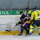 IMG_8178.jpg